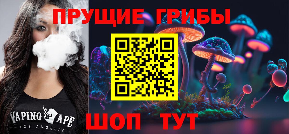 Галлюциногенные грибы Psilocybe Стрежевой