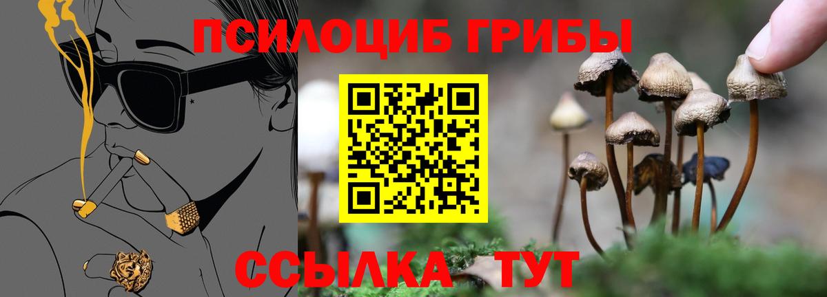 Стрежевой  Галлюциногенные грибы MAGIC MUSHROOMS  Вход с VPN 